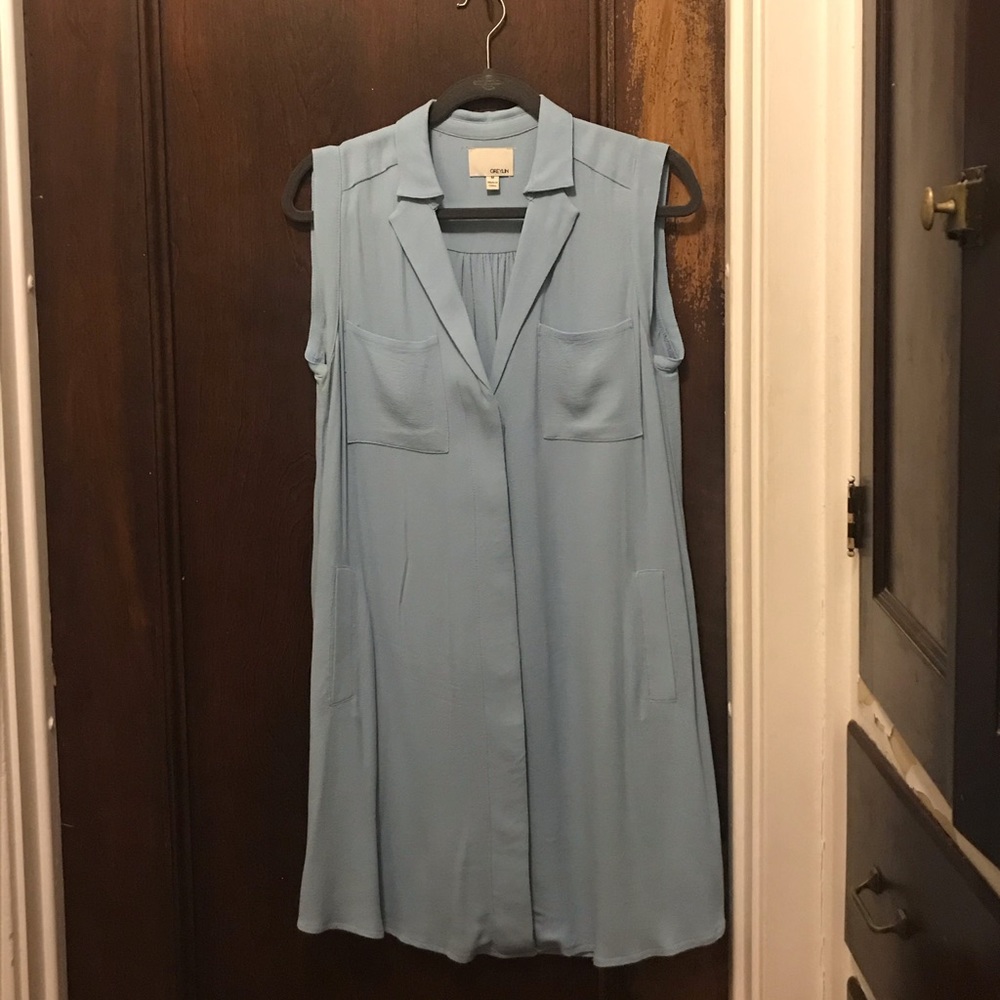 Greyson woven sleeveless button front dress